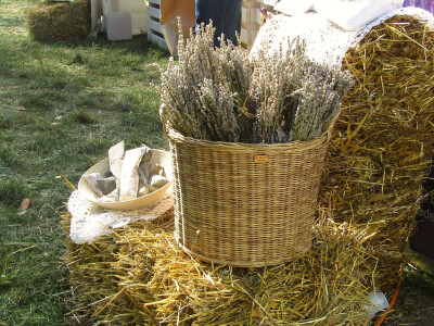 Festival gastronomije "Ukusi Vojvodine" Novi Sad