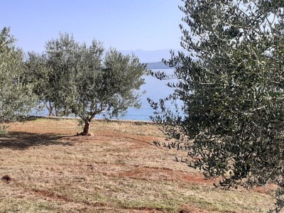 Festival maslina u Zagrebu