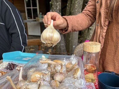 Festival "Naša dobra hrana" okupio istomišljenike o održivom uzgoju hrane