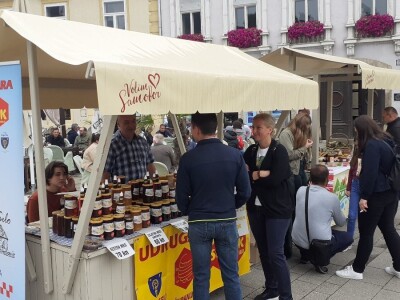 Festival pčelarstva