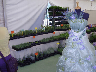 Poljoprivredni glasnik na Festivalu samoniklog bilja