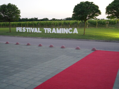 Festival traminca 2019