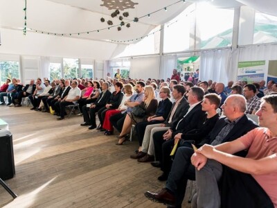 Festival Zlata oljčna vejica: Zadarski maslinari osvojili slovensku Istru