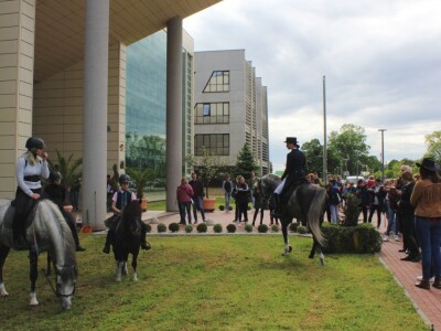 Festival znanosti FAZOS