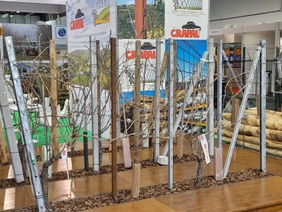 Fieragricola Fieragricola