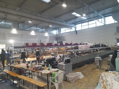 Fieragricola Fieragricola