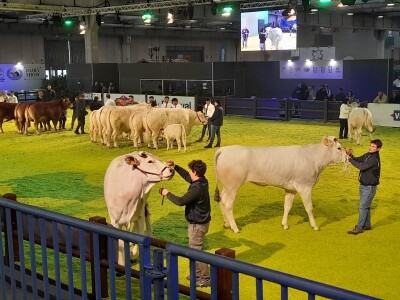 Fieragricola Fieragricola