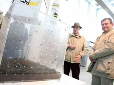 Fieragricola pčelarstvo