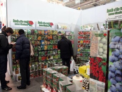 Fieragricola sjemenarstvo