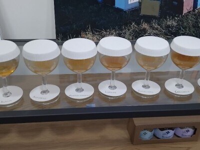 Filipo Ragone, proizvođač meda iz Altamure