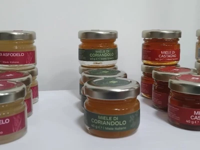 Filipo Ragone, proizvođač meda iz Altamure