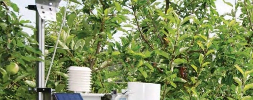 ce