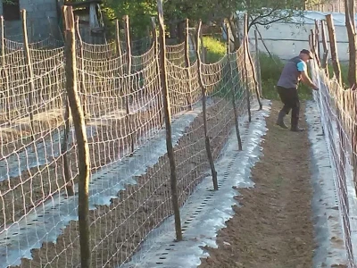 Firzeta Hašić: Povrće u plasteniku ću uzgajati na prirodan način