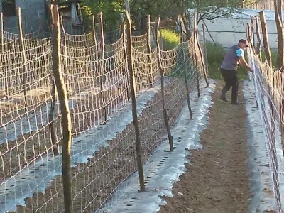 Firzeta Hašić: Povrće u plasteniku ću uzgajati na prirodan način