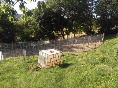 Firzeta Hašić: Povrće u plasteniku ću uzgajati na prirodan način