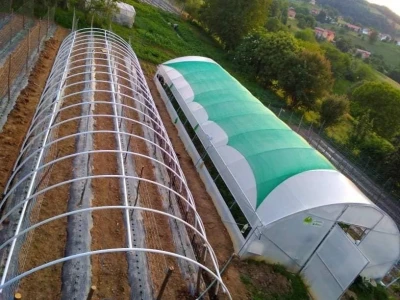 Firzeta Hašić: Povrće u plasteniku ću uzgajati na prirodan način