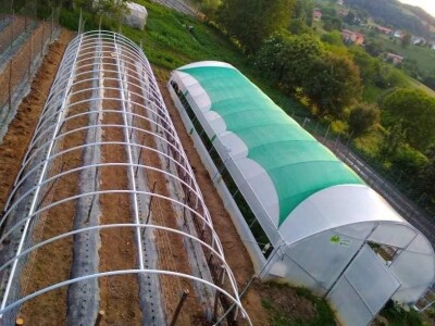 Firzeta Hašić: Povrće u plasteniku ću uzgajati na prirodan način