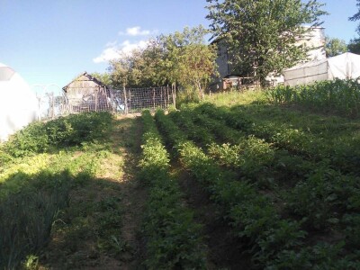 Firzeta Hašić: Povrće u plasteniku ću uzgajati na prirodan način