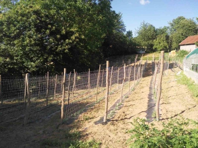 Firzeta Hašić: Povrće u plasteniku ću uzgajati na prirodan način