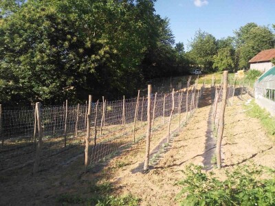 Firzeta Hašić: Povrće u plasteniku ću uzgajati na prirodan način