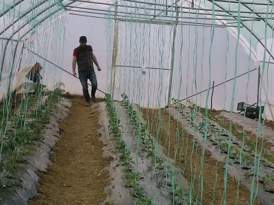 Firzeta Hašić: Povrće u plasteniku ću uzgajati na prirodan način