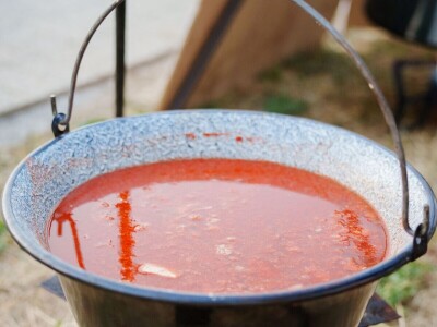 Fišijada u Vukovaru