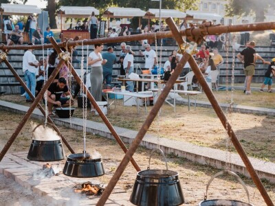 Fišijada u Vukovaru