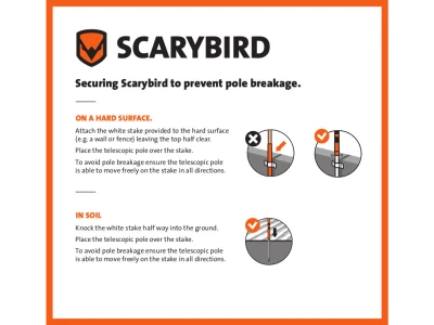 Sa terena - SCARYBIRD razno