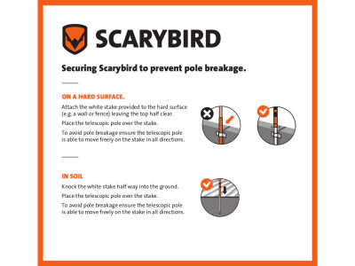 Sa terena - SCARYBIRD razno