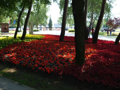 53. međunarodna vrtna izložba „Florart“