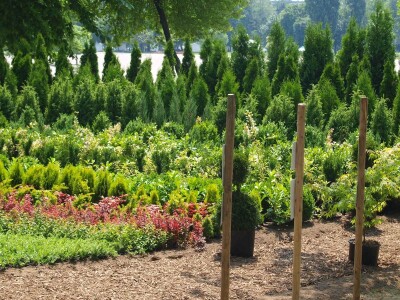 53. međunarodna vrtna izložba „Florart“