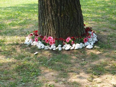 53. međunarodna vrtna izložba „Florart“