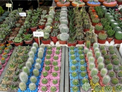 46. Floraart 2011.