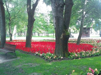 46. Floraart 2011.