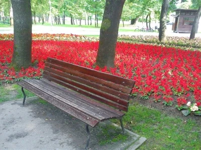46. Floraart 2011.