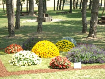 46. Floraart 2011.