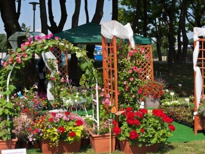 46. Floraart 2011.
