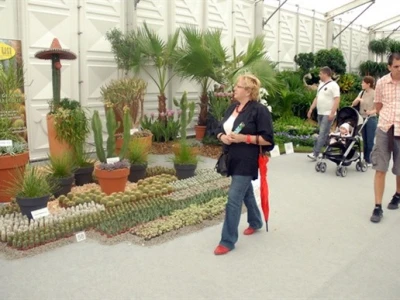 46. Floraart 2011.