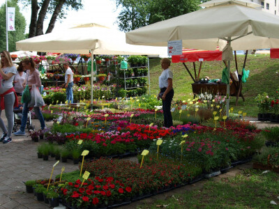 &quot;Floraart&quot;, 52. međunarodna vrtna izložba