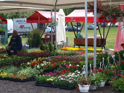 "Floraart", 52. međunarodna vrtna izložba