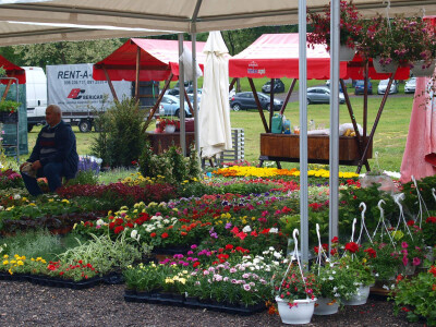 &quot;Floraart&quot;, 52. međunarodna vrtna izložba