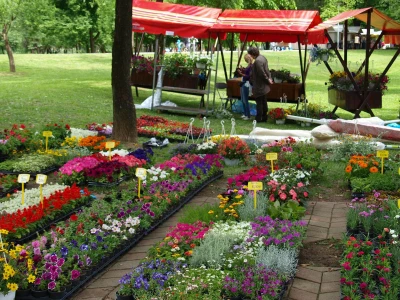 "Floraart", 52. međunarodna vrtna izložba