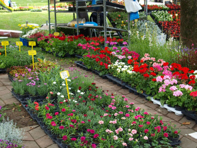 &quot;Floraart&quot;, 52. međunarodna vrtna izložba