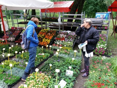 Floraart Floraart