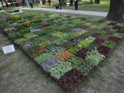 FloraArt 2012