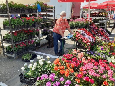 Floraart Floraart