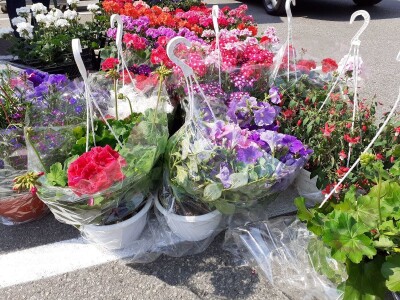 Floraart Floraart