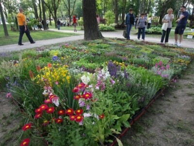 FloraArt 2012