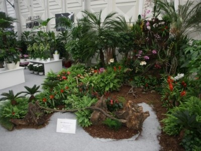 FloraArt 2012