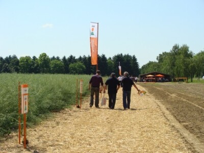 KWS Centralni dan polja pšenice, ječma, raži i uljane repice